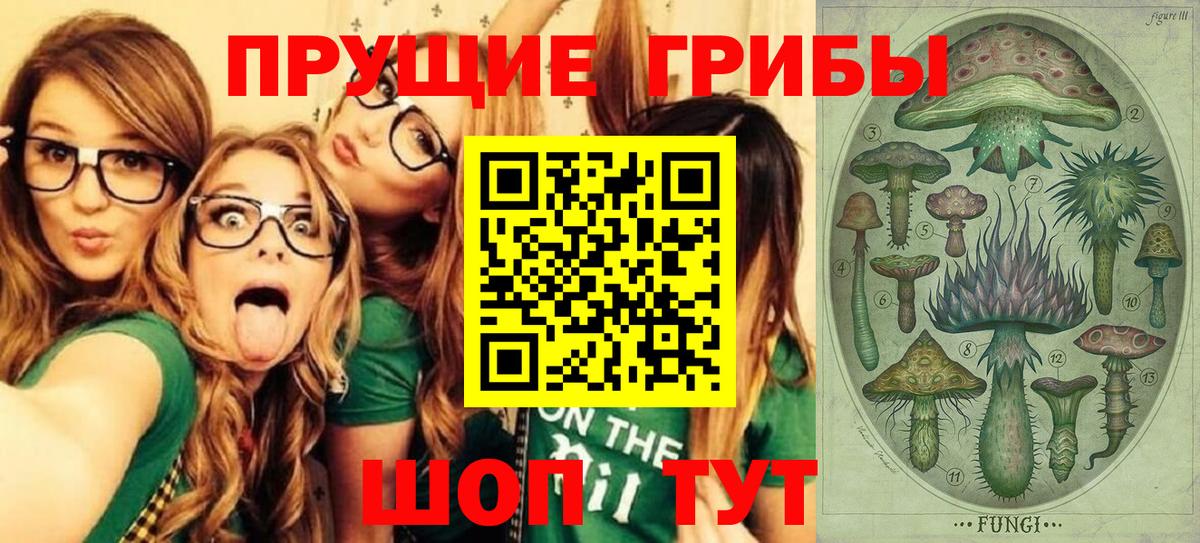 Галлюциногенные грибы мухоморы Калининград