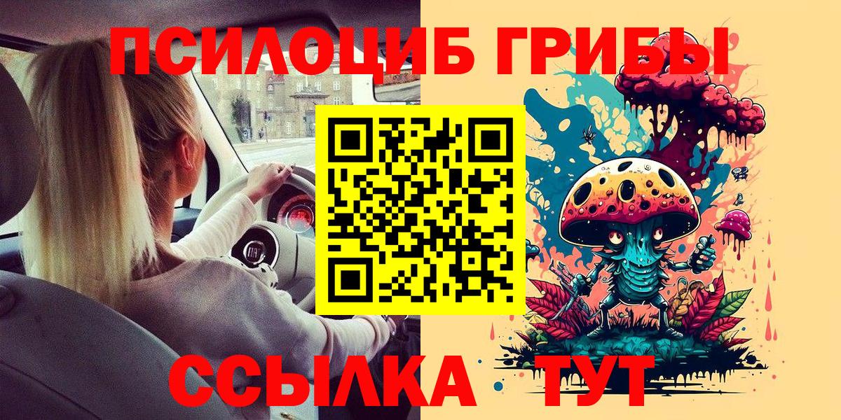 Галлюциногенные грибы Cubensis  Вход с VPN  Калининград  Галлюциногенные грибы Psilocybe 
